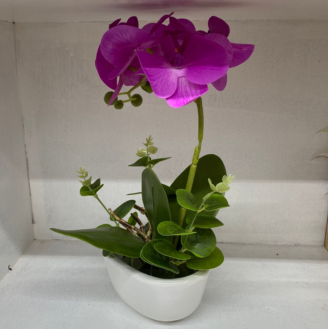 Ceramic Flower Pot Artificial Orchid （Purple）仿真紫色兰花盆栽