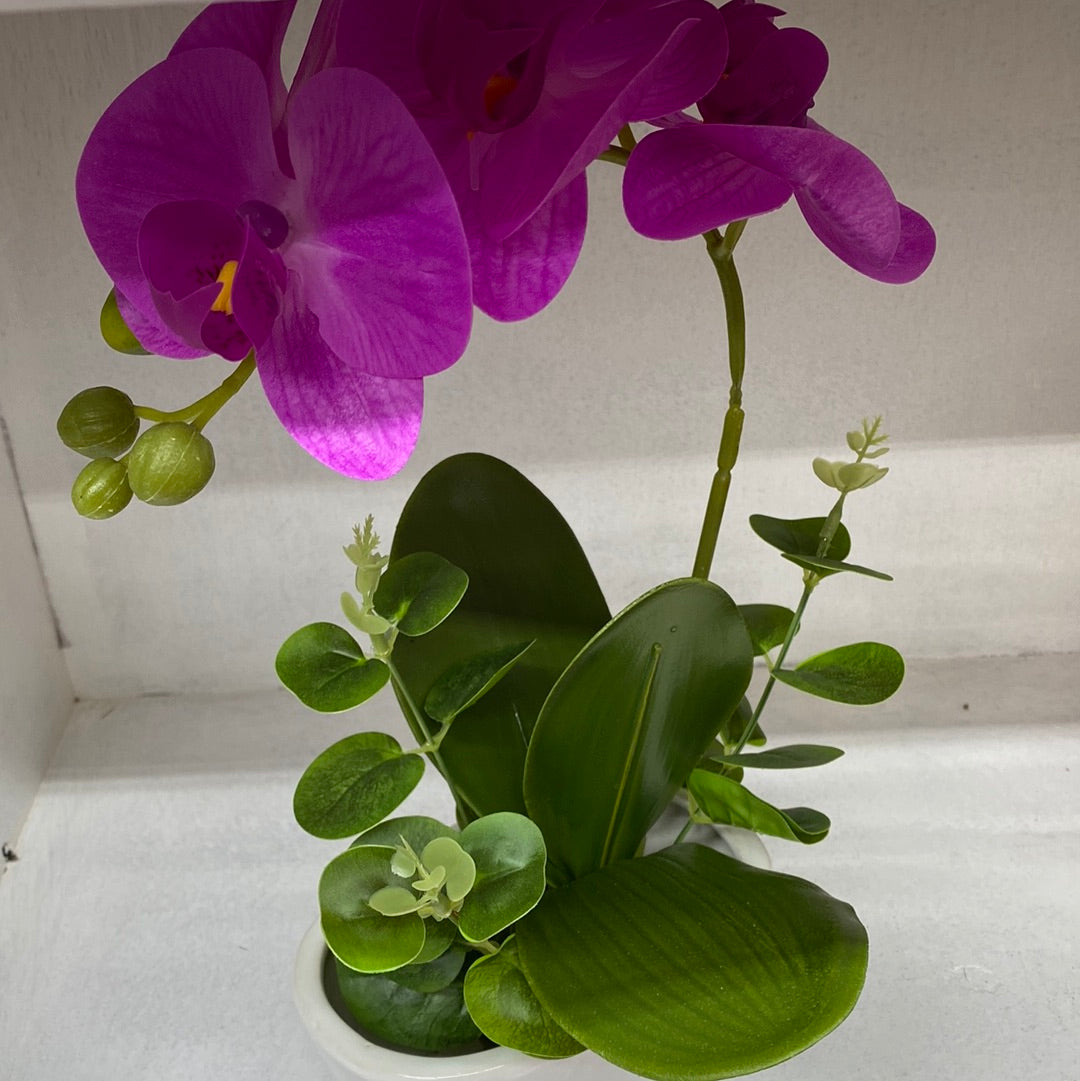 Ceramic Flower Pot Artificial Orchid （Purple）仿真紫色兰花盆栽