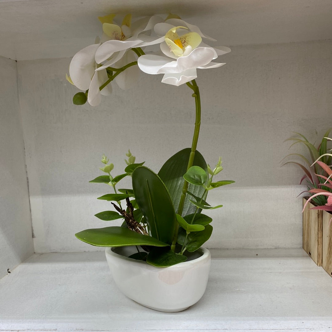 Ceramic Flower Pot Artificial Orchid （White）仿真白兰花盆栽