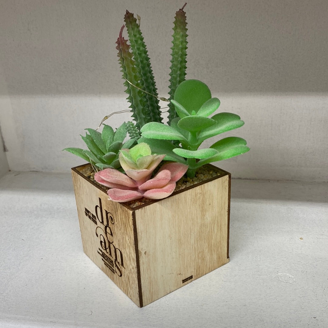 Artificial succulent plants Mix Colors 仿真多肉植物