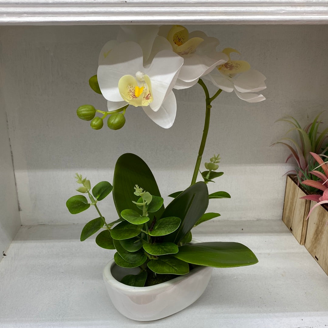 Ceramic Flower Pot Artificial Orchid （White）仿真白兰花盆栽