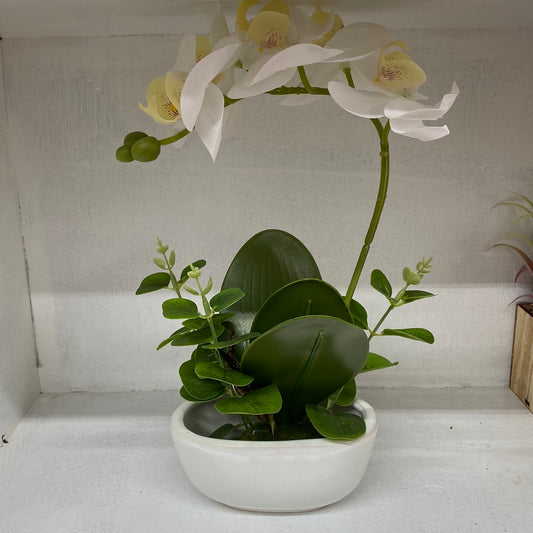 Ceramic Flower Pot Artificial Orchid （White）仿真白兰花盆栽